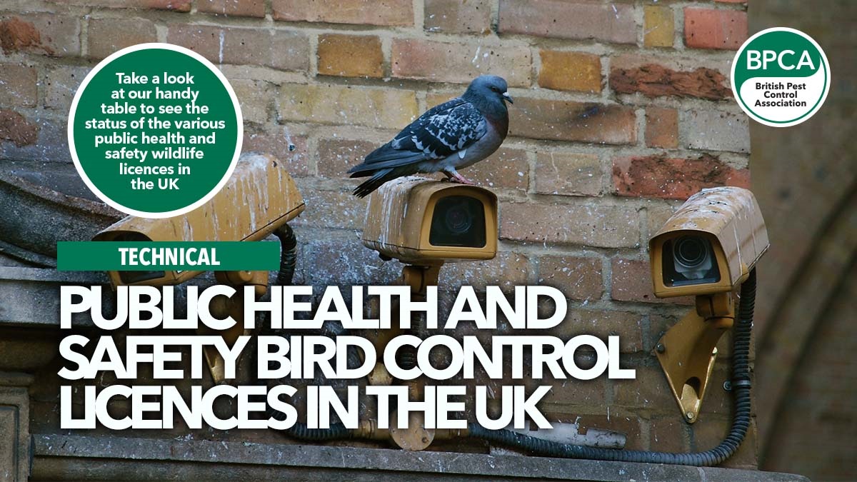 publichealthbirdcontrollicencesuk publichealthbirdcontrollicencesuk